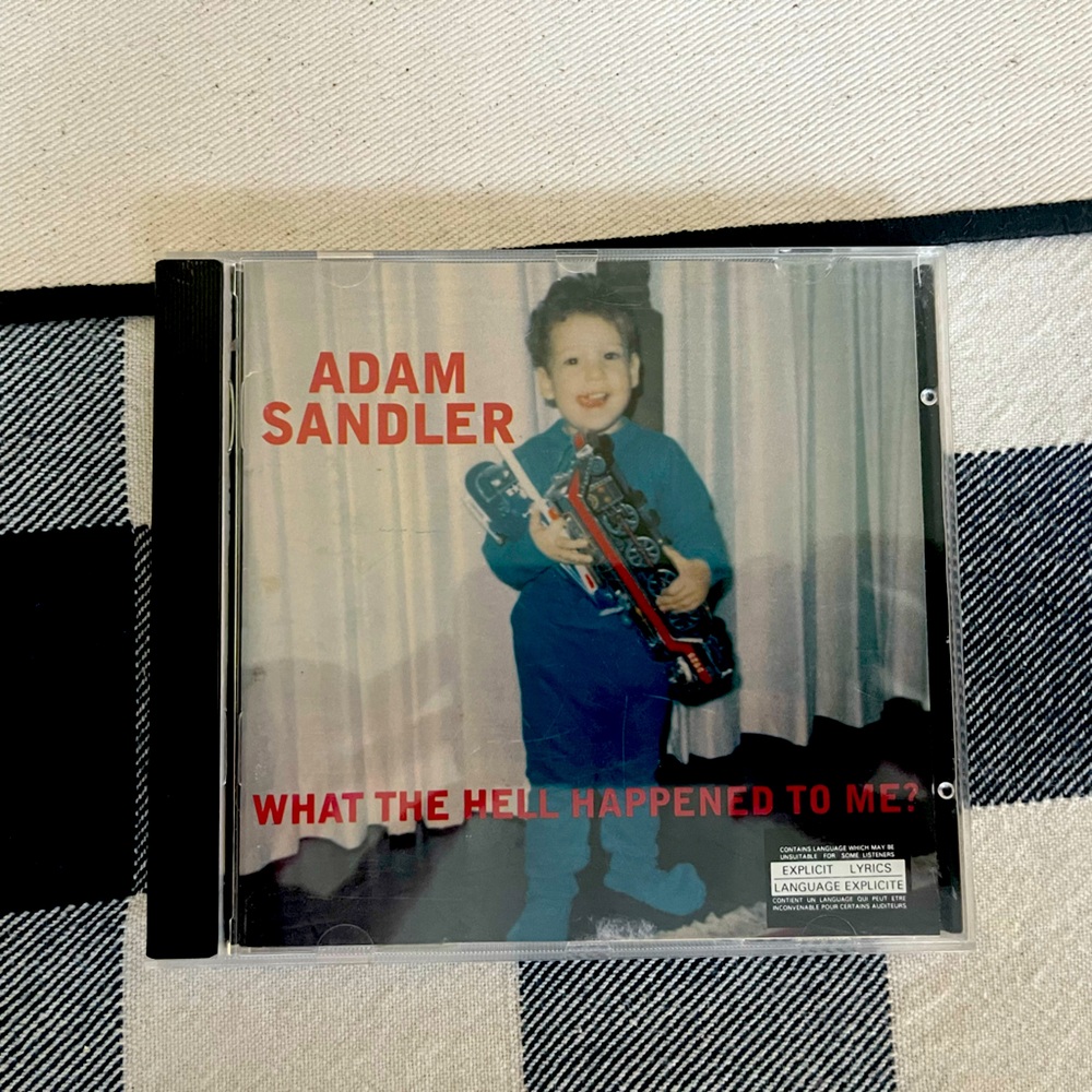 Adam Sandler What the Hell Happened to Me